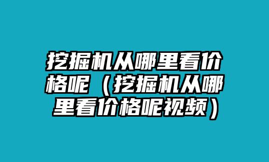 挖掘機(jī)從哪里看價(jià)格呢（挖掘機(jī)從哪里看價(jià)格呢視頻）