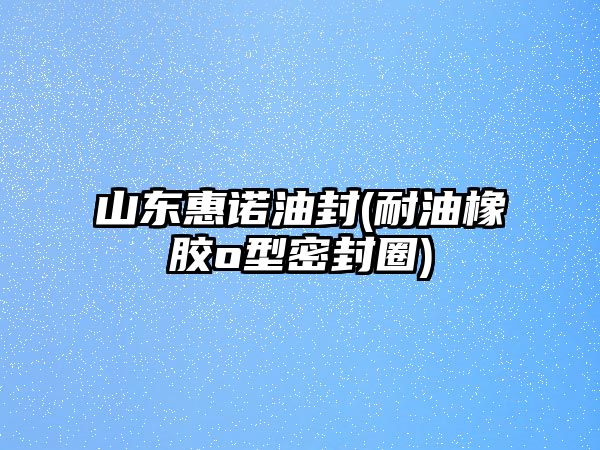 山東惠諾油封(耐油橡膠o型密封圈)