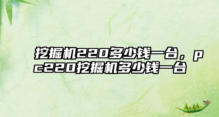 挖掘機220多少錢一臺，pc220挖掘機多少錢一臺