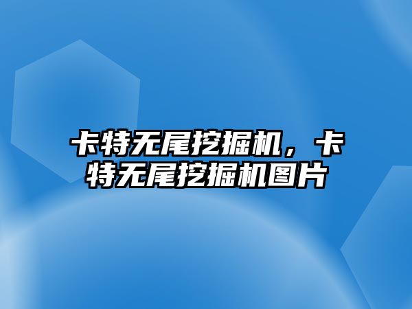 卡特?zé)o尾挖掘機(jī)，卡特?zé)o尾挖掘機(jī)圖片