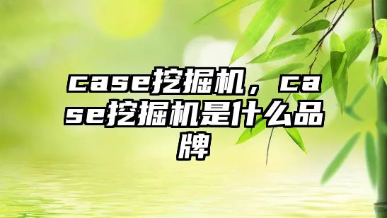 case挖掘機(jī)，case挖掘機(jī)是什么品牌