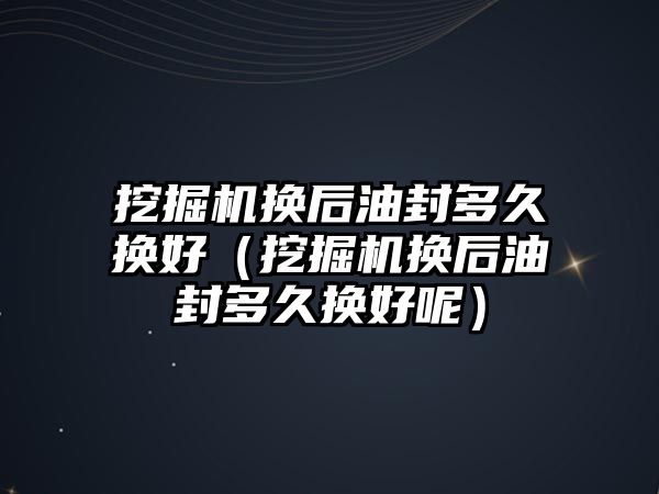 挖掘機換后油封多久換好（挖掘機換后油封多久換好呢）