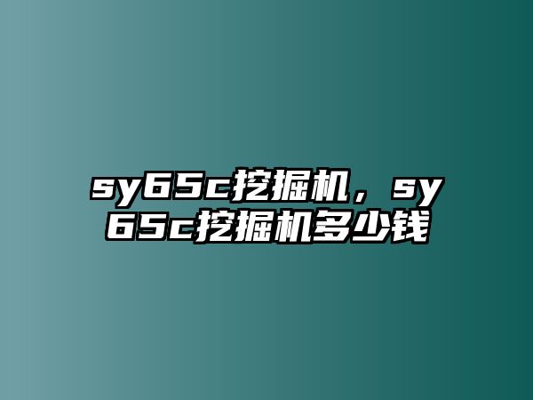 sy65c挖掘機(jī)，sy65c挖掘機(jī)多少錢(qián)