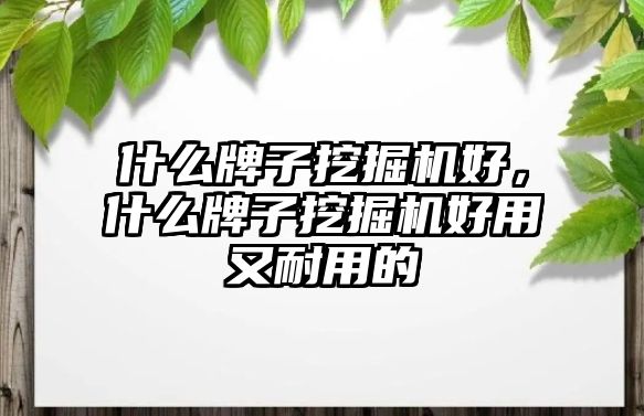 什么牌子挖掘機好，什么牌子挖掘機好用又耐用的