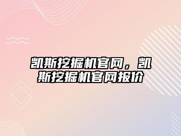 凱斯挖掘機官網(wǎng)，凱斯挖掘機官網(wǎng)報價