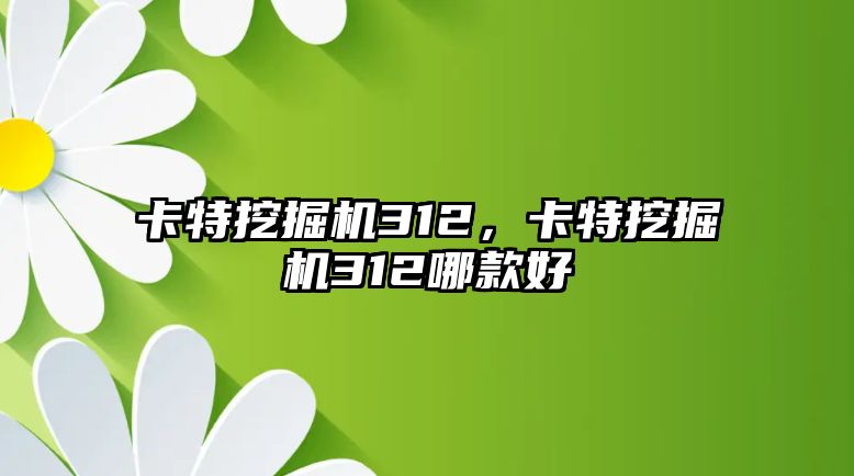 卡特挖掘機312，卡特挖掘機312哪款好