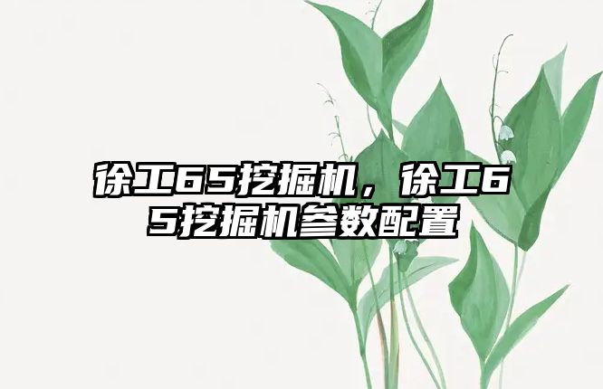 徐工65挖掘機，徐工65挖掘機參數(shù)配置