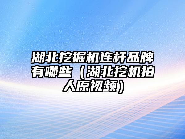 湖北挖掘機連桿品牌有哪些（湖北挖機拍人原視頻）