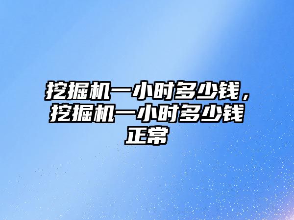 挖掘機一小時多少錢，挖掘機一小時多少錢正常