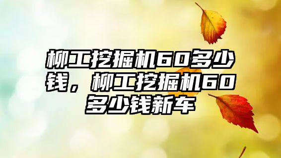 柳工挖掘機60多少錢，柳工挖掘機60多少錢新車