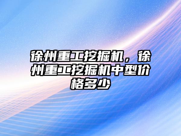 徐州重工挖掘機，徐州重工挖掘機中型價格多少