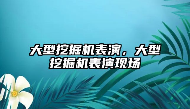 大型挖掘機表演，大型挖掘機表演現(xiàn)場