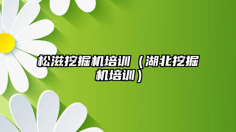 松滋挖掘機培訓(xùn)（湖北挖掘機培訓(xùn)）