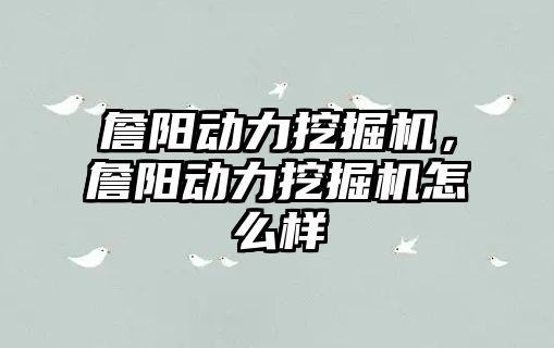 詹陽動力挖掘機，詹陽動力挖掘機怎么樣