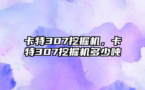 卡特307挖掘機(jī)，卡特307挖掘機(jī)多少噸