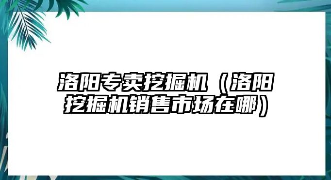 洛陽專賣挖掘機（洛陽挖掘機銷售市場在哪）