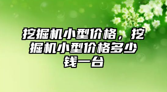 挖掘機小型價格，挖掘機小型價格多少錢一臺