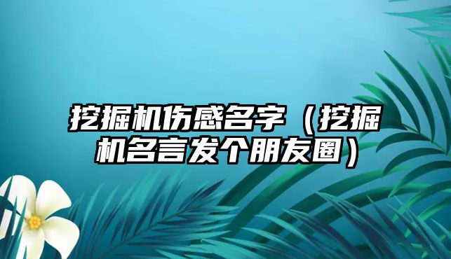 挖掘機傷感名字（挖掘機名言發(fā)個朋友圈）