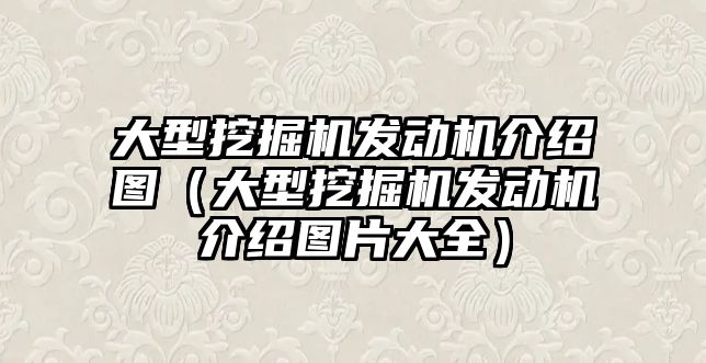 大型挖掘機發(fā)動機介紹圖（大型挖掘機發(fā)動機介紹圖片大全）