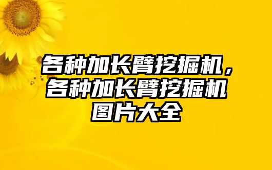 各種加長臂挖掘機，各種加長臂挖掘機圖片大全