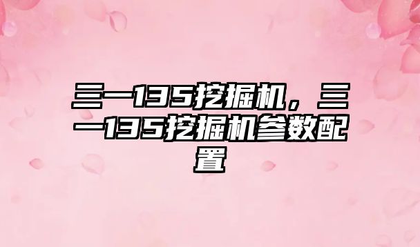 三一135挖掘機，三一135挖掘機參數配置