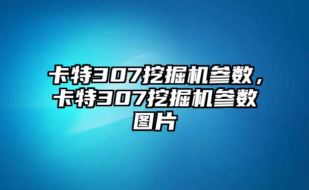 卡特307挖掘機參數(shù)，卡特307挖掘機參數(shù)圖片