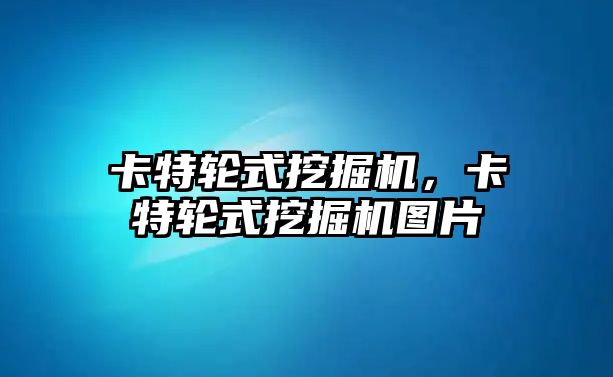 卡特輪式挖掘機，卡特輪式挖掘機圖片