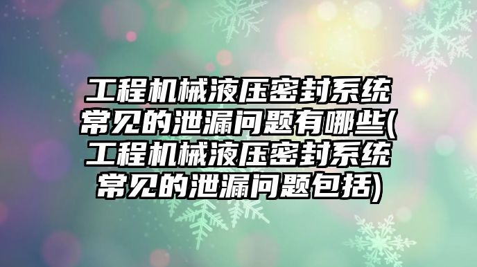 工程機(jī)械液壓密封系統(tǒng)常見的泄漏問題有哪些(工程機(jī)械液壓密封系統(tǒng)常見的泄漏問題包括)