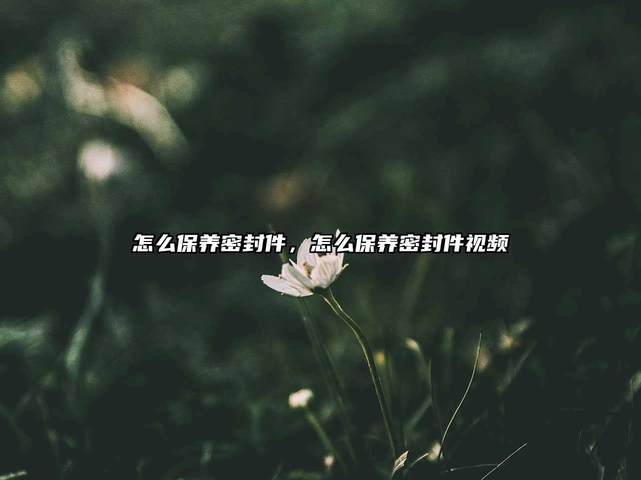 怎么保養(yǎng)密封件，怎么保養(yǎng)密封件視頻