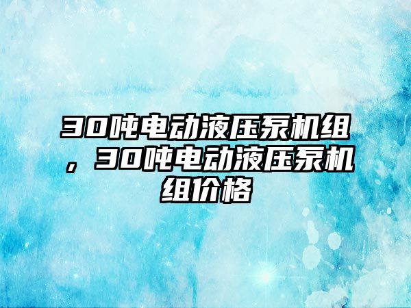 30噸電動液壓泵機(jī)組，30噸電動液壓泵機(jī)組價(jià)格