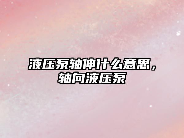 液壓泵軸伸什么意思，軸向液壓泵