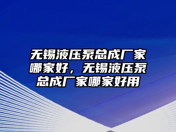 無錫液壓泵總成廠家哪家好，無錫液壓泵總成廠家哪家好用