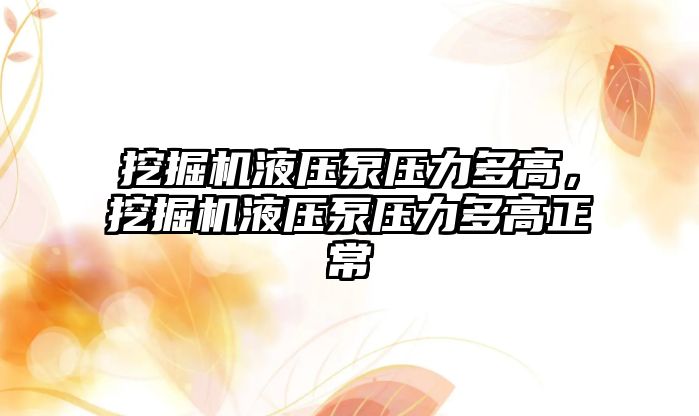 挖掘機液壓泵壓力多高，挖掘機液壓泵壓力多高正常