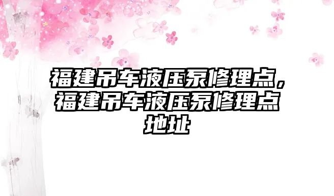 福建吊車液壓泵修理點(diǎn)，福建吊車液壓泵修理點(diǎn)地址