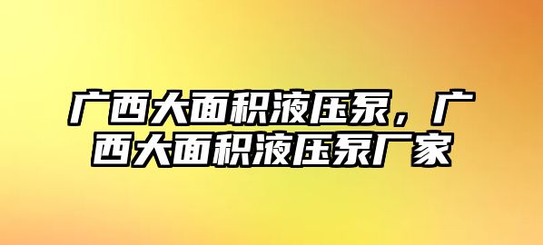 廣西大面積液壓泵，廣西大面積液壓泵廠家