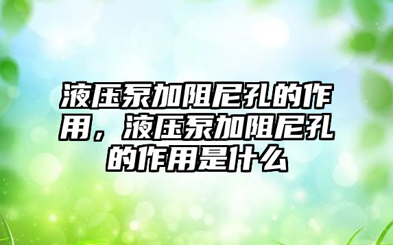 液壓泵加阻尼孔的作用，液壓泵加阻尼孔的作用是什么