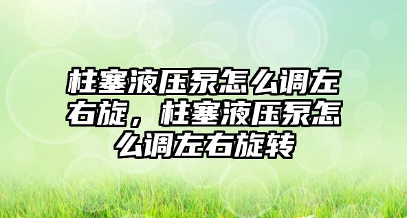 柱塞液壓泵怎么調(diào)左右旋，柱塞液壓泵怎么調(diào)左右旋轉(zhuǎn)