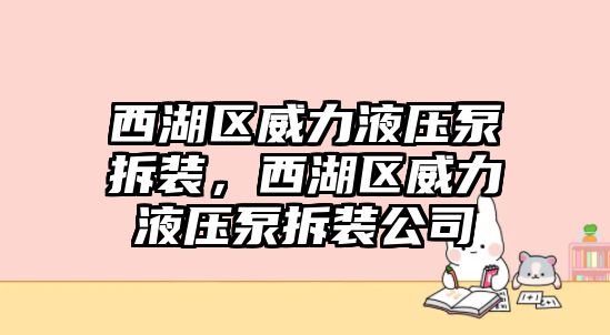 西湖區(qū)威力液壓泵拆裝，西湖區(qū)威力液壓泵拆裝公司