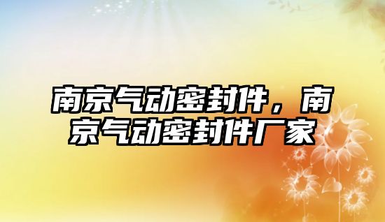 南京氣動密封件，南京氣動密封件廠家