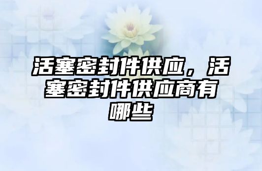 活塞密封件供應，活塞密封件供應商有哪些