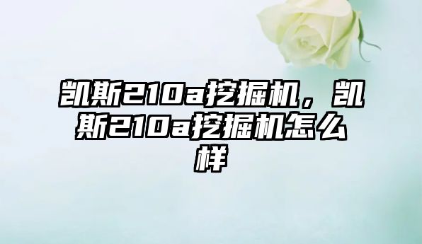 凱斯210a挖掘機(jī)，凱斯210a挖掘機(jī)怎么樣