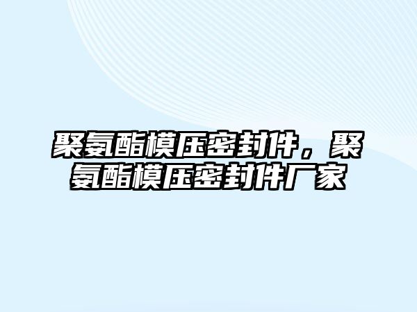 聚氨酯模壓密封件，聚氨酯模壓密封件廠家