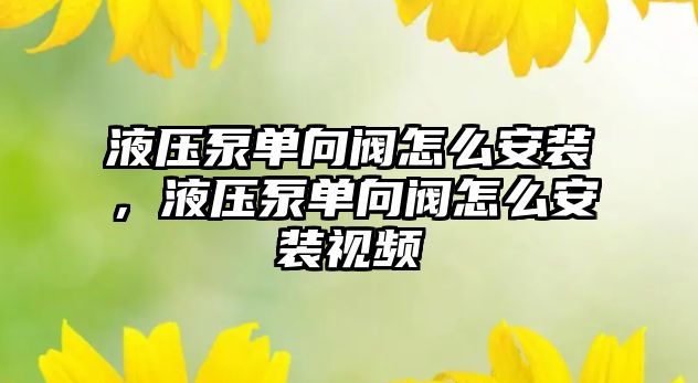 液壓泵單向閥怎么安裝，液壓泵單向閥怎么安裝視頻