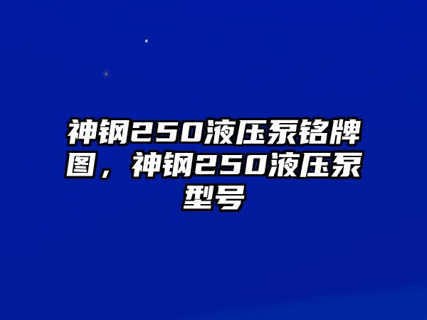 神鋼250液壓泵銘牌圖，神鋼250液壓泵型號(hào)