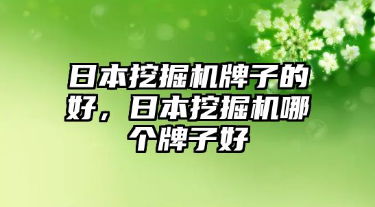 日本挖掘機牌子的好，日本挖掘機哪個牌子好