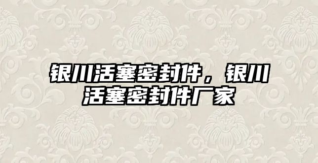 銀川活塞密封件，銀川活塞密封件廠家