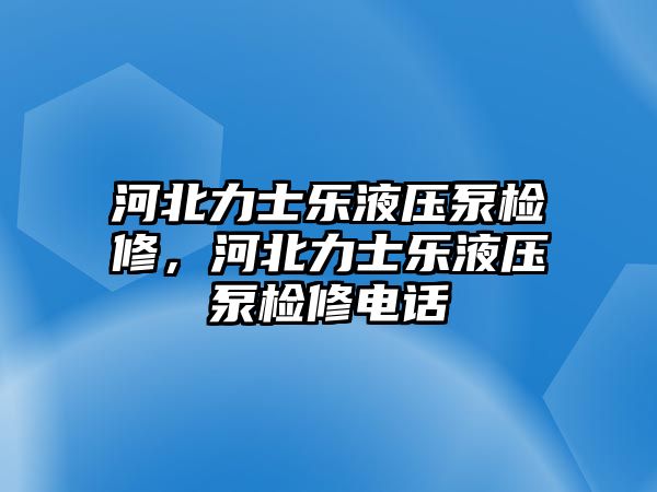 河北力士樂液壓泵檢修，河北力士樂液壓泵檢修電話