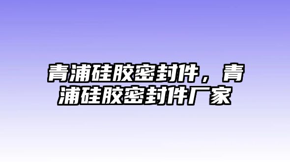 青浦硅膠密封件，青浦硅膠密封件廠家