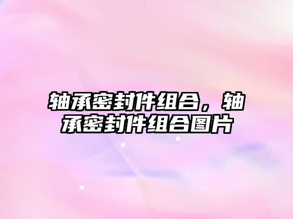 軸承密封件組合，軸承密封件組合圖片