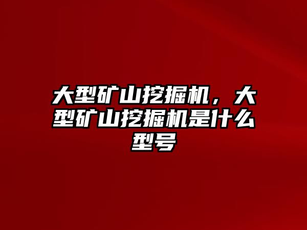 大型礦山挖掘機(jī)，大型礦山挖掘機(jī)是什么型號